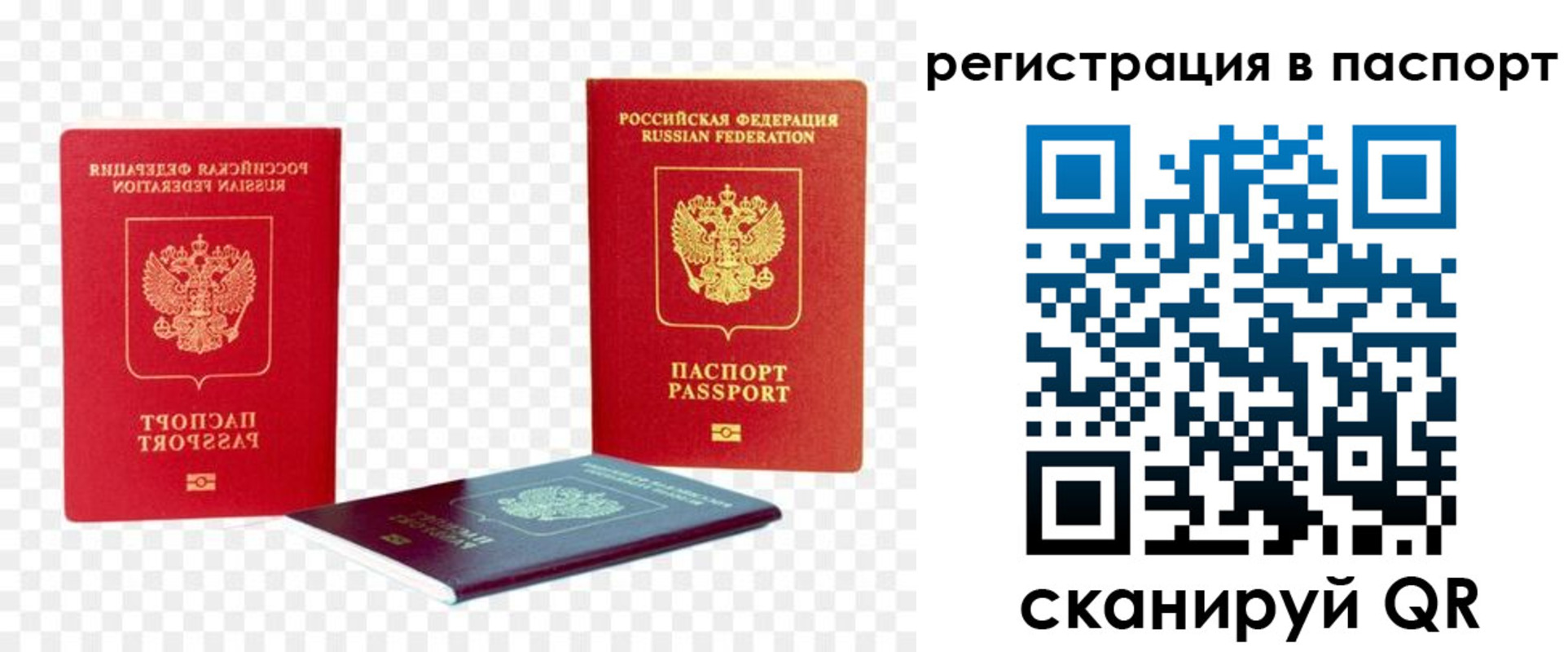 прописка от собственника в Ржеве